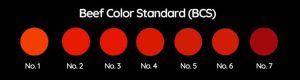 A Complete Guide to the Japanese Wagyu Beef Grading System