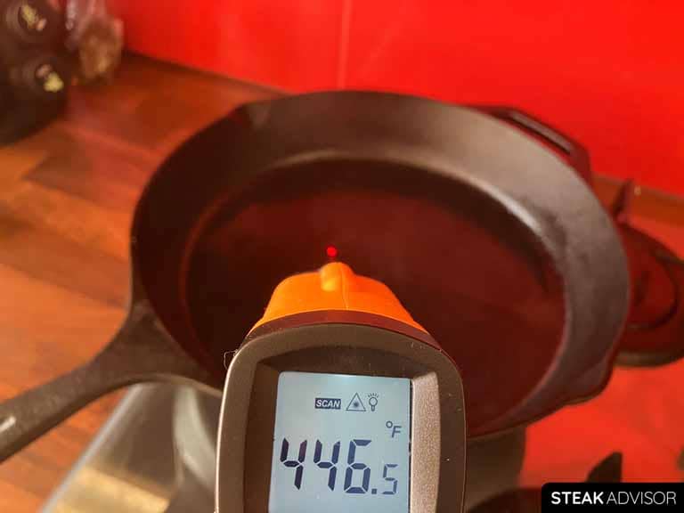 Cast iron skillet heated to 446°F