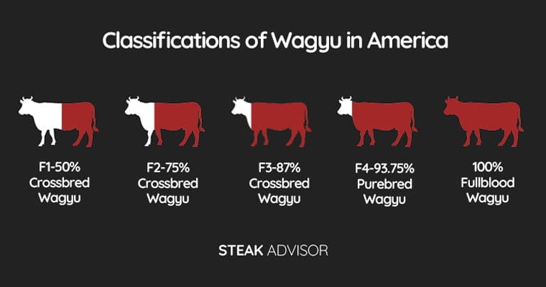 Classifications of Wagyu in America
