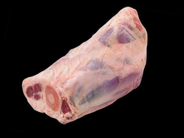 shank primal beef cut
