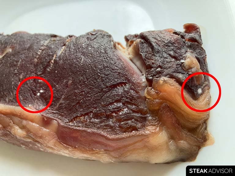 Visible mold growth on steak