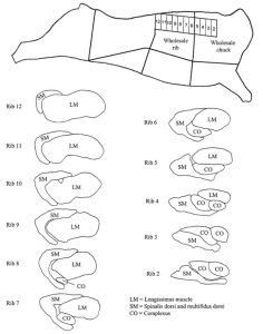 Chuck Eye Steak: Its Location, Names, Flavor Profile and Size