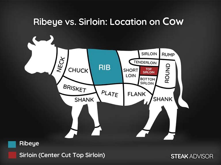 Comparison: Ribeye vs. Sirloin Cuts from the Cow