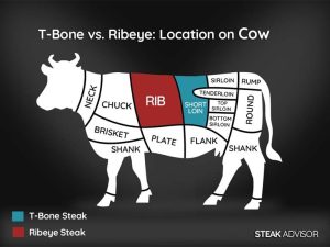 T-Bone vs. Ribeye: What Are the Key Differences?